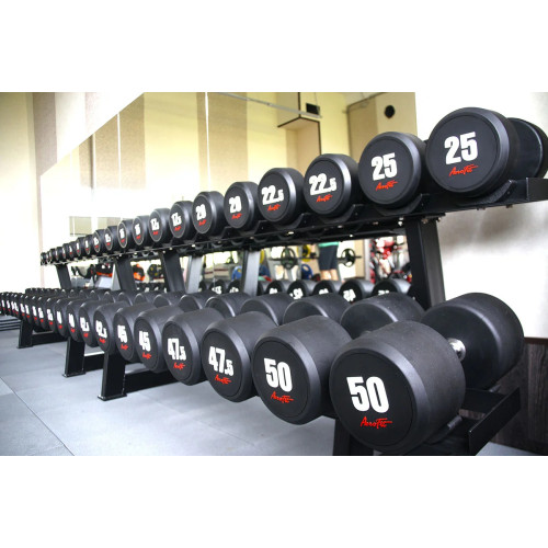 Aerofit AFDB40-50 набор обрезиненных гантелей